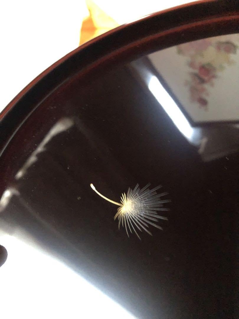 Amazon.co.jp: 輪島塗 綿毛沈金 溜塗 丸盆 藤野孝一郎氏作 共箱